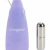 California Exotic Beginner's 2.25" Bullet Vibrator with Controller