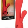 California Exotic Palisades Passion Rabbit Vibrator with Heat Function and Clitoral Teaser