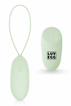LUV EGG 6.3" Vibrating Luv Egg with Remote Control -Women's Sex Toys Shop large 4 28