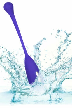 California Exotic Electro-Stimulation Kegel Exerciser with Remote -Women's Sex Toys Shop large 5 283