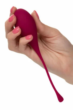 California Exotic Silicone Kegel Training Set (5-pce) -Women's Sex Toys Shop large 5 461